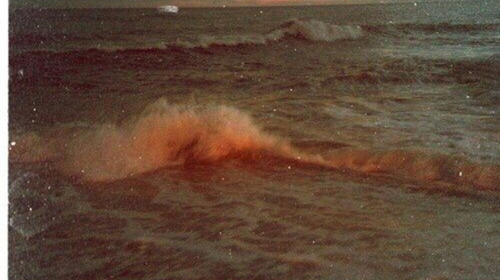 Зарубежная классика 