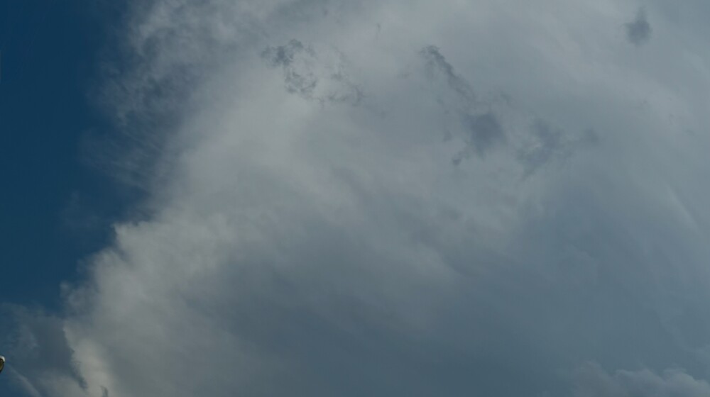 Художественная полка