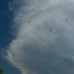 Художественная полка