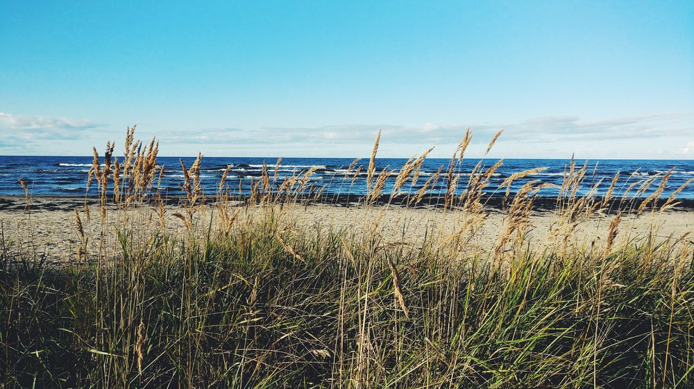 Писательское дело