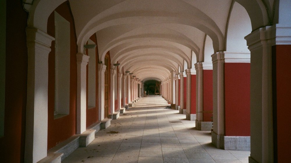 Главные критические тексты от русскоязычного современника