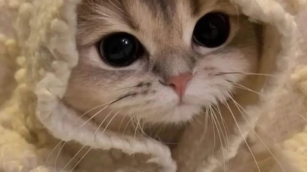 Психология