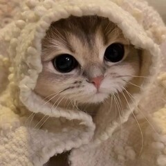 Психология