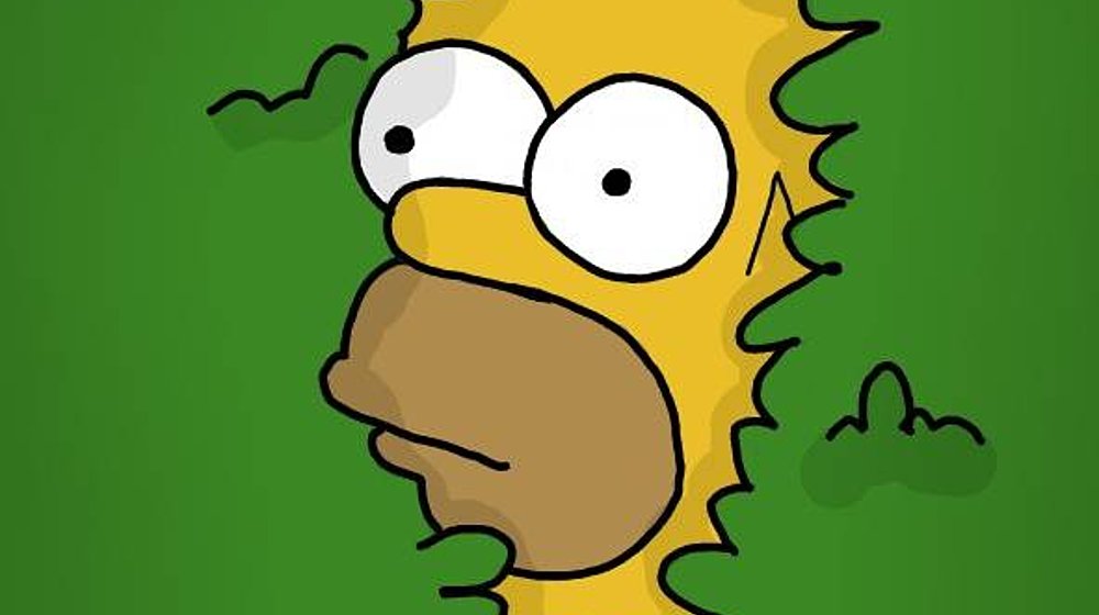 Ф И Н.  Р А З В И Т И Е 