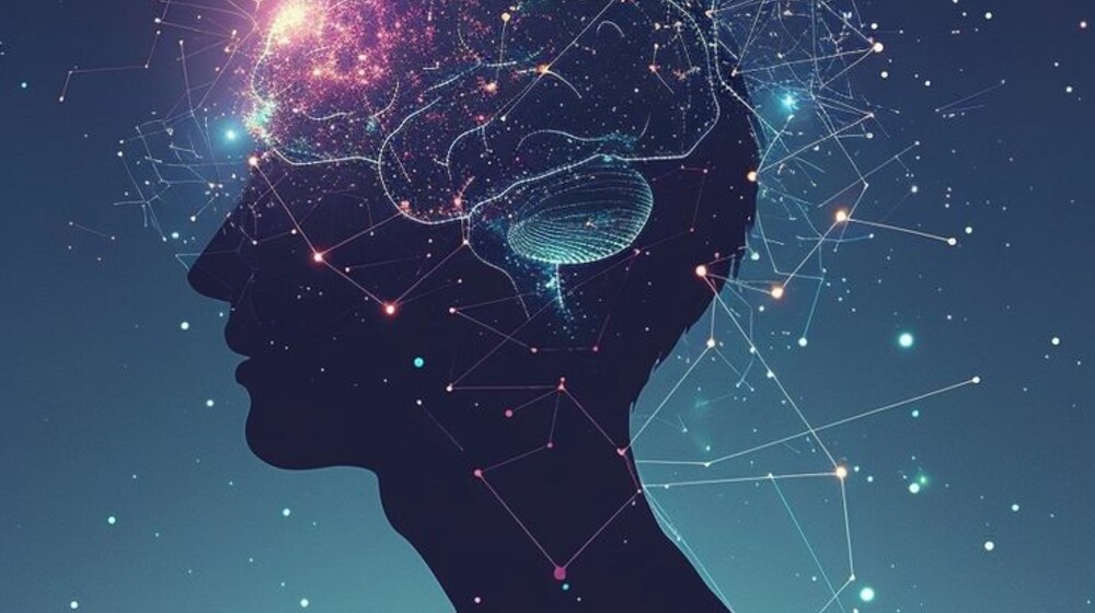 Нейрофизиология, мозг