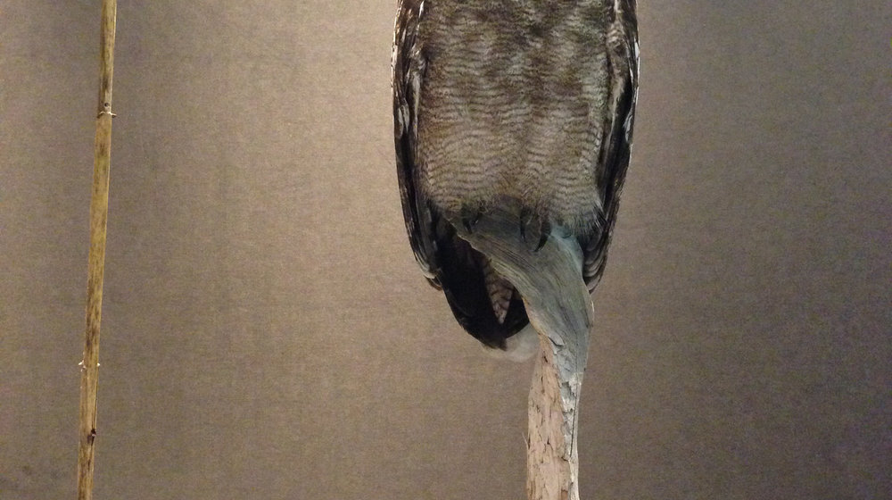 Скилы, лайфхаки и устройство