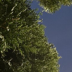 Работа с информацией 