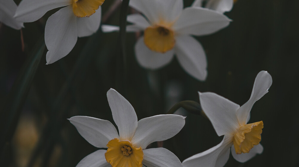 Стоит прочесть каждому