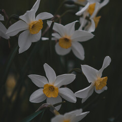 Стоит прочесть каждому