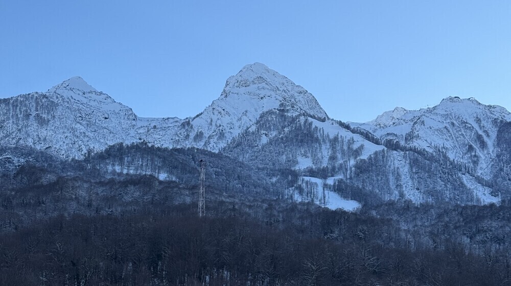 Снежный детектив