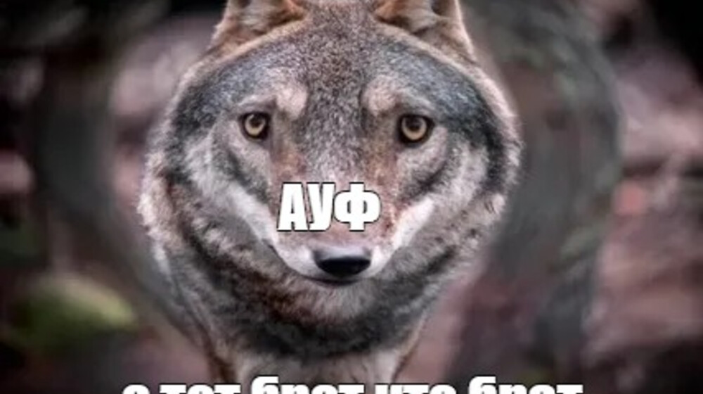 Умные книжки, во