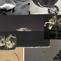 книжные планы.