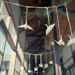 книжные планы.