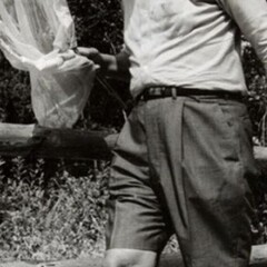 Курсовая II год