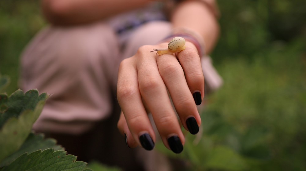 На своём языке