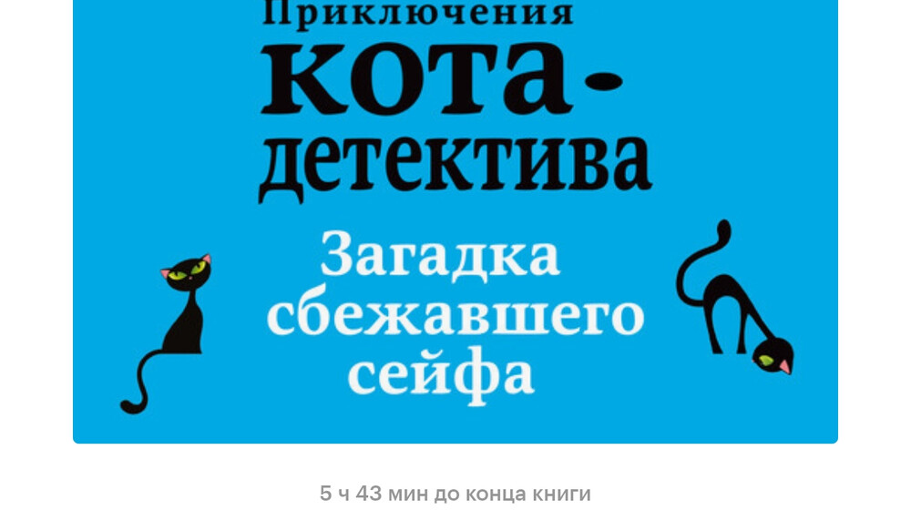 Приключения кота детектива