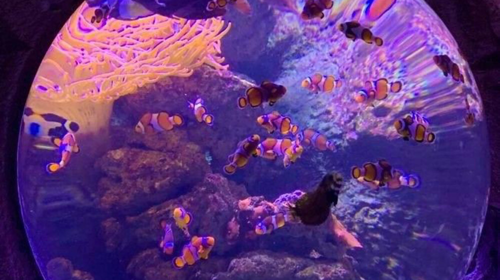 современная литература