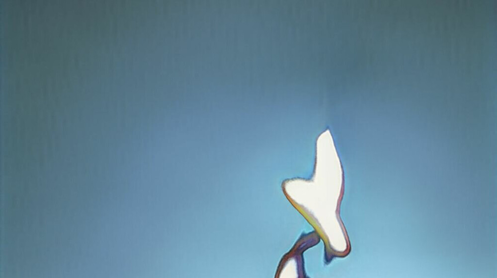 Хочу прочесть