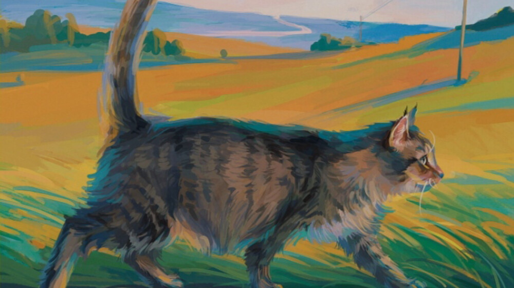 Книги про кота Сократа