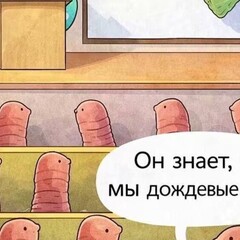 Июль-август2026