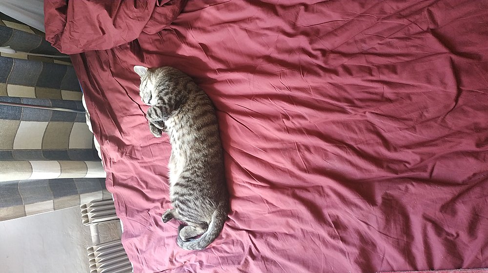 Хочу прочитать