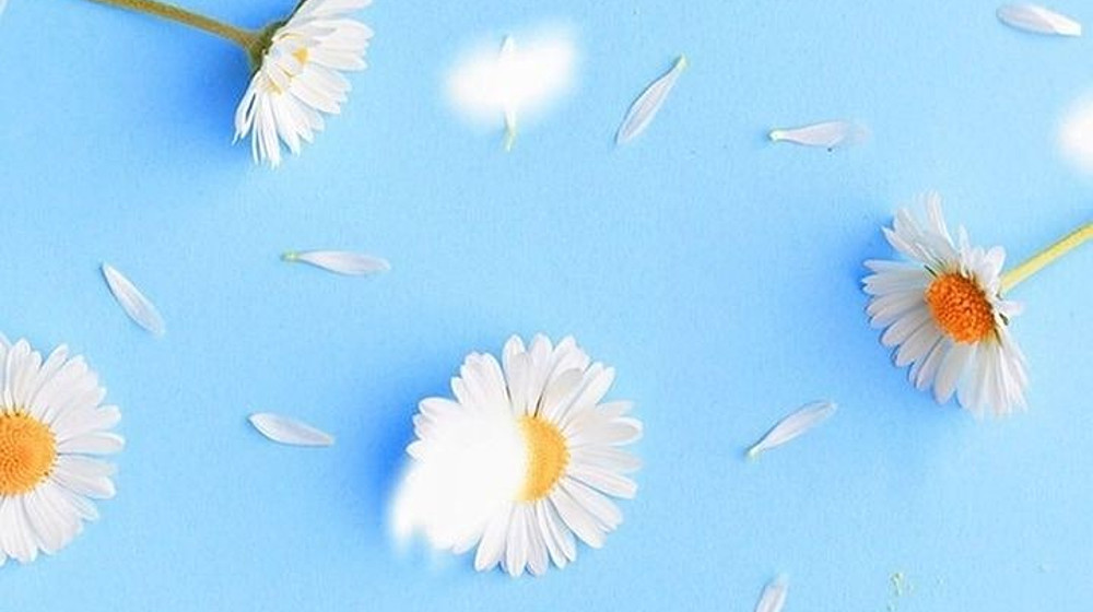 Ася Лавринович