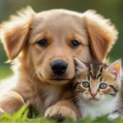 Про животных