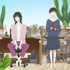 Коллекция к «Дневнику разных стран»