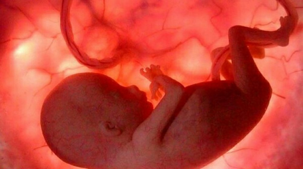  Шок-истории! Психология,  эротика, триллеры и др. 