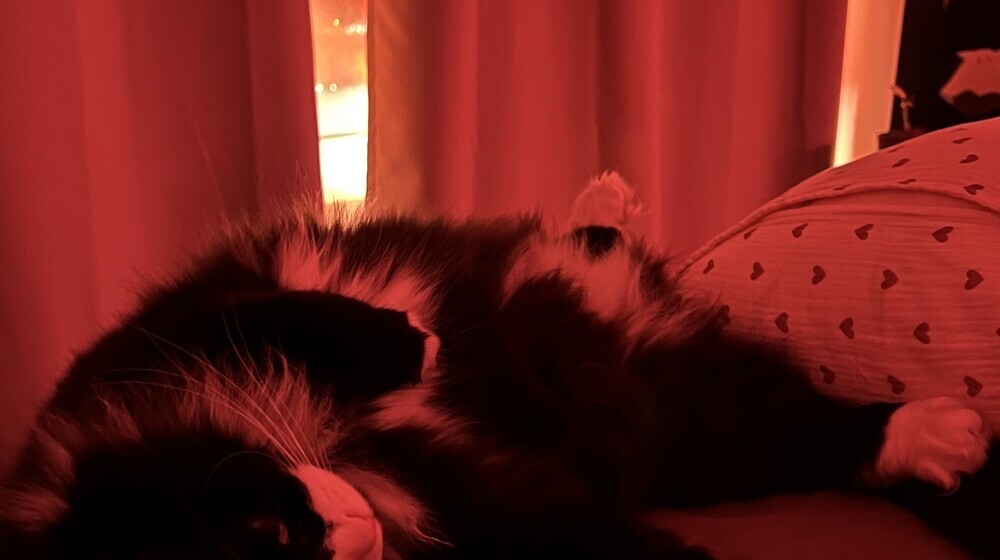 Империя вампиров