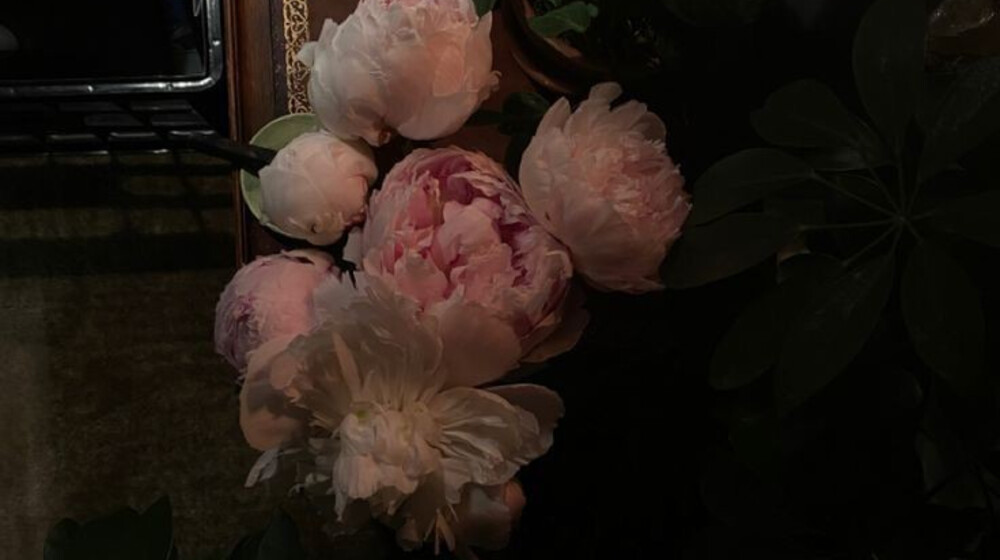 История зарубежной литературы Классицизм, Просвещение и иные течения