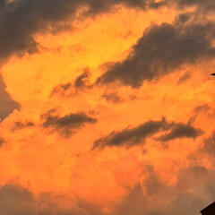 психология