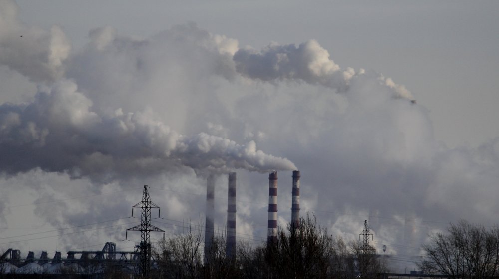 книги К. Зонкер