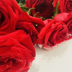 Романтика/академии/...