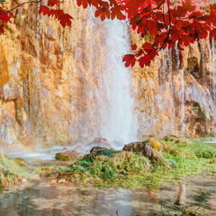 Кира Тигрис 