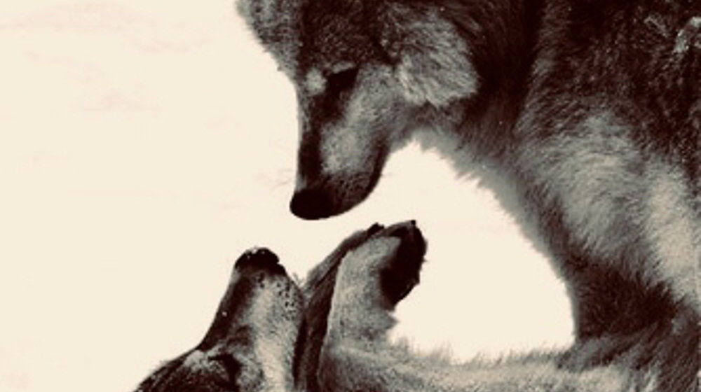 После престолов