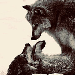 После престолов