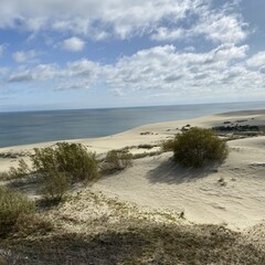 Современные российские авторы