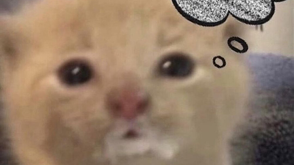 заставляет зодуматься