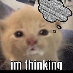 заставляет зодуматься