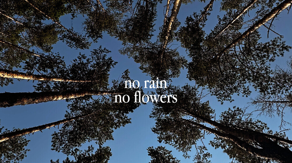 Навыки. Привычки. Мозг