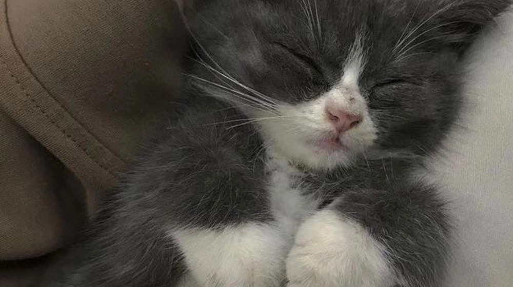 психологичное