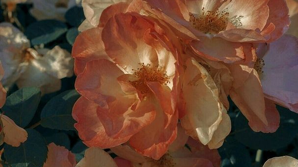 Прочитать в ближайшие дни
