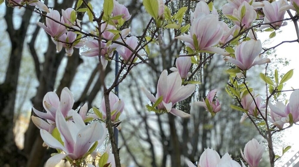 интересное 