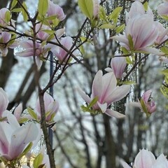 интересное 