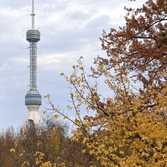 Узбекистан. Ташкент 