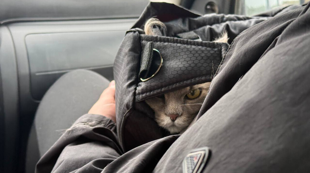 Роман где есть ребенок