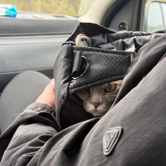 Роман где есть ребенок