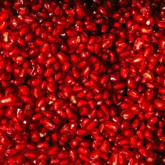 Куприн: романтик и хулиган