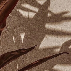 Прочитано/прослушано